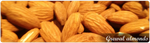 Grewal Almonds