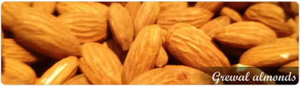 Grewal Almonds